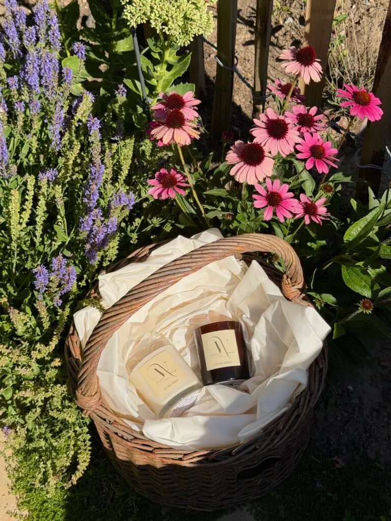 cottage garden